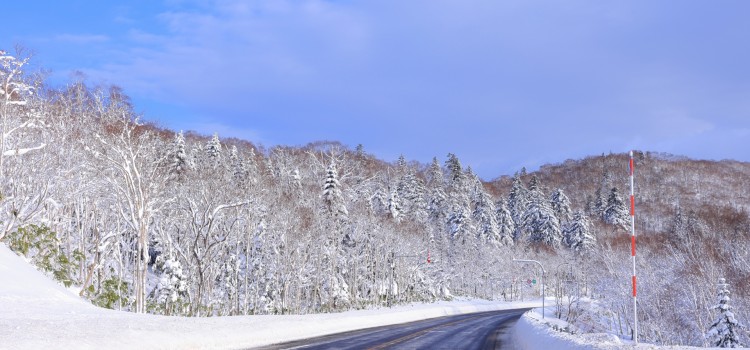 【雪が降らない2月も注意】「昨日は晴れてたのに…」その油断が事故を招く！
