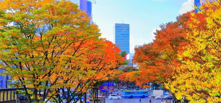 11月は1年で3番目に交通事故が多い! 11月は1年で3番目に交通事故が多い!